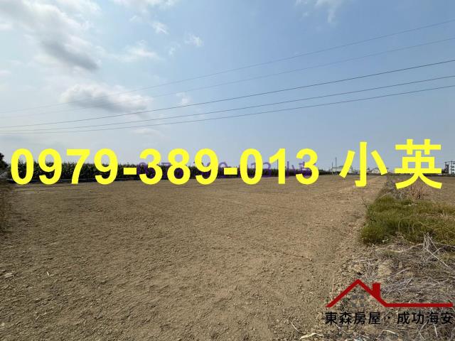 台南新市農地-5