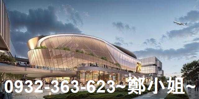 桃園大園建地-2