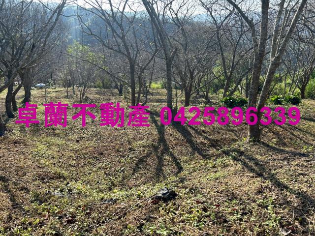 苗栗卓蘭農地-2