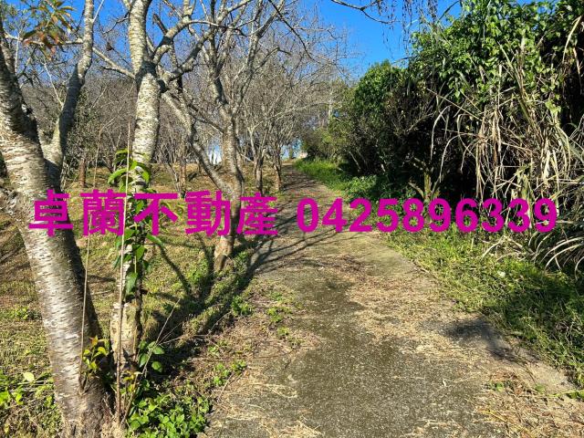 苗栗卓蘭農地-3