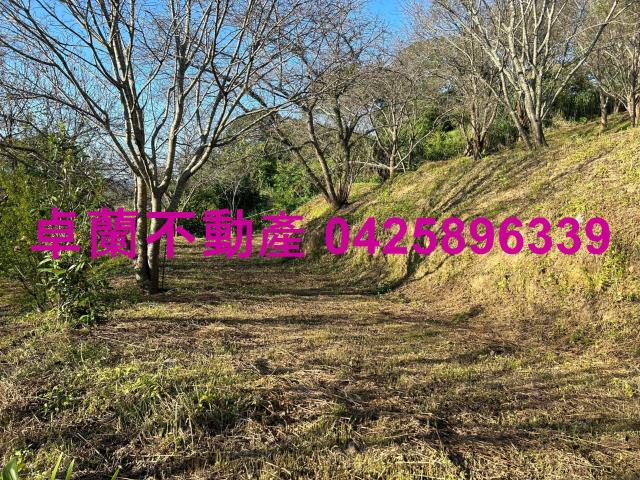 苗栗卓蘭農地-4