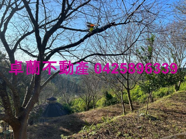 苗栗卓蘭農地-8