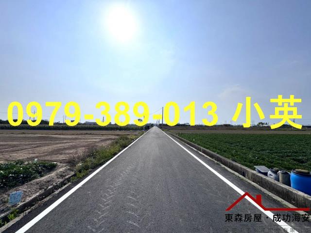 台南新市農地-11