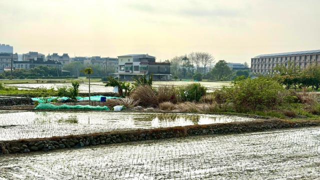 新竹芎林農地-12