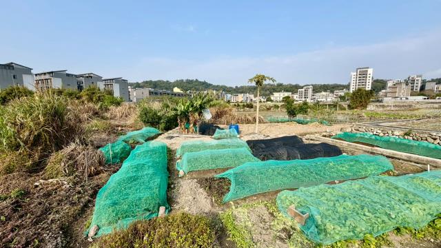 新竹芎林農地-1