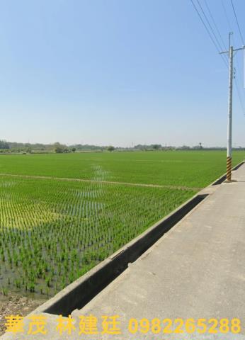 嘉義大林法拍農地-2