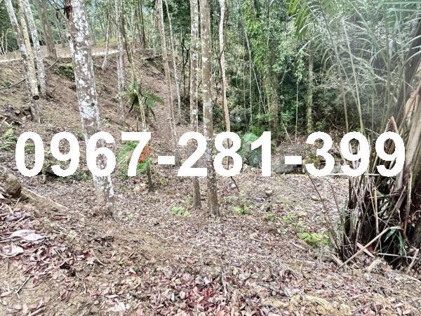 苗栗南庄農地-2