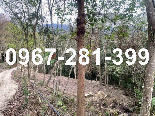 苗栗南庄農地-6