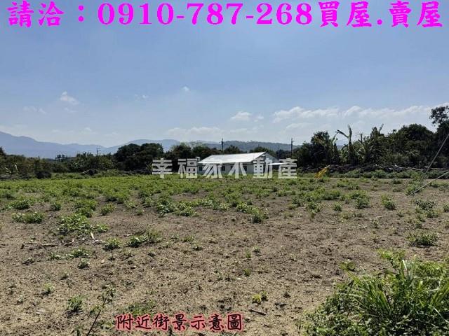 台南玉井農地-4