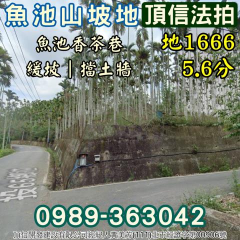 南投魚池法拍農地-2