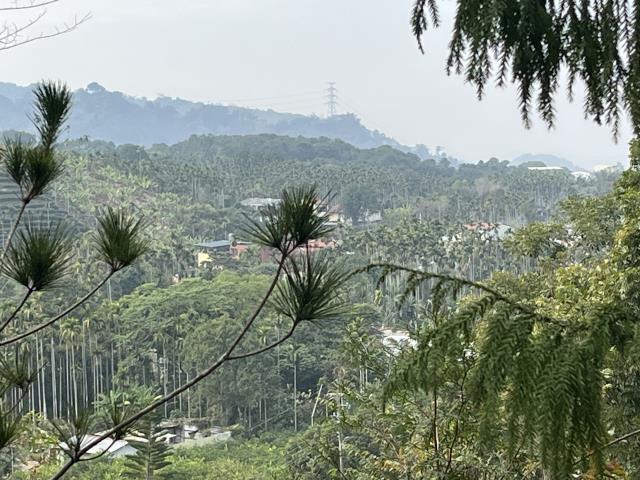 鹿谷山坡地-10