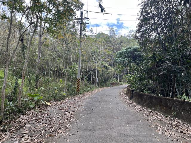 鹿谷山坡地-0