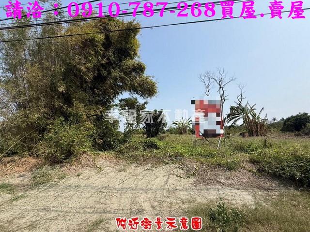 台南新市農地-1