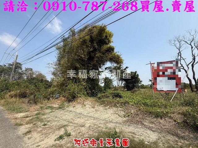 台南新市農地-5