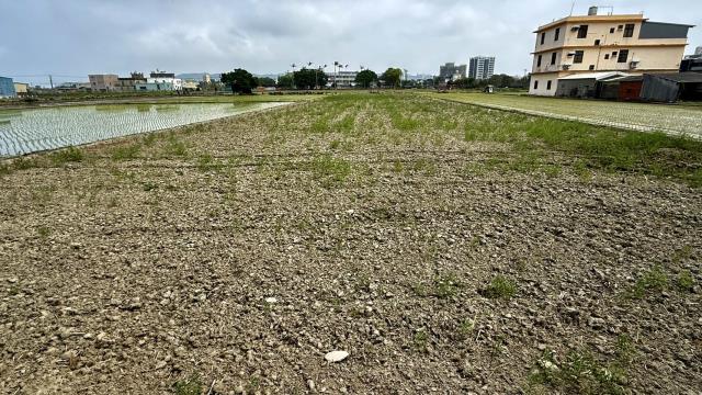 新竹竹北農地-9