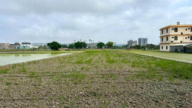 新竹竹北農地-3