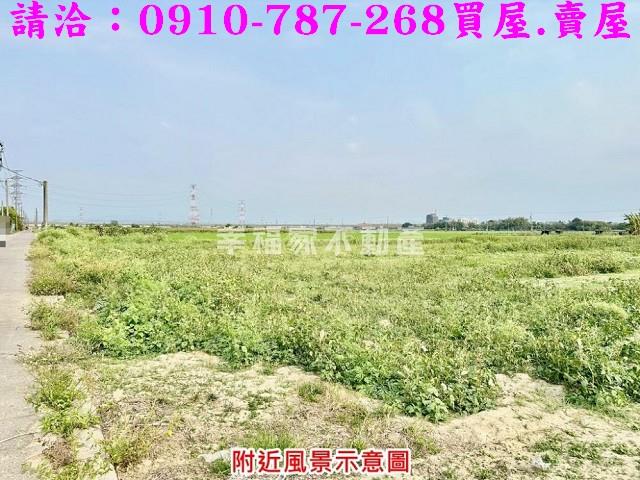 台南善化農地-9