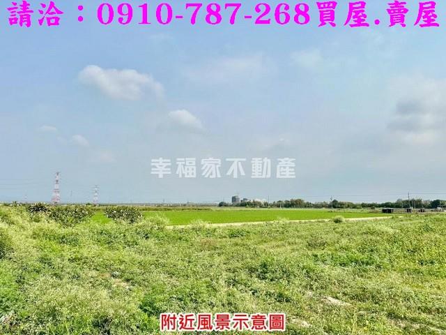 台南善化農地-12