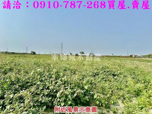台南善化農地-2