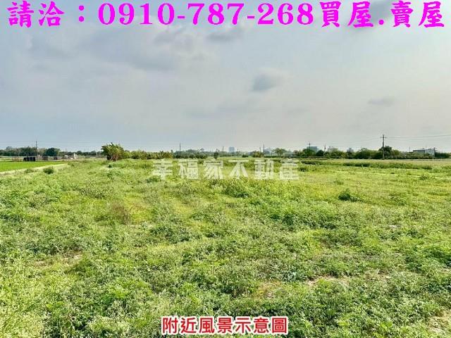 台南善化農地-6