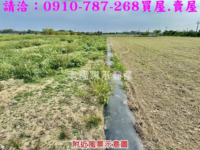 台南善化農地-7