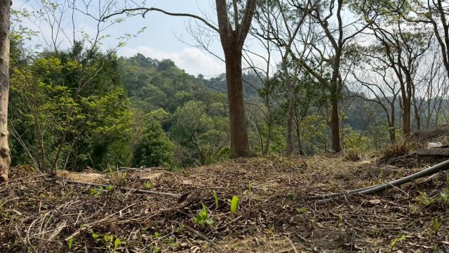 新竹北埔農地-8