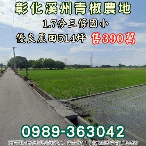 彰化溪州農地-1