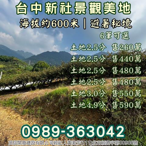 台中新社農地-13