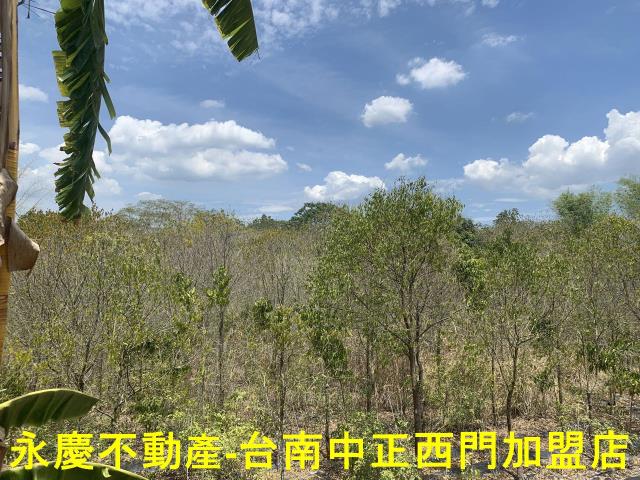 台南玉井農地-2