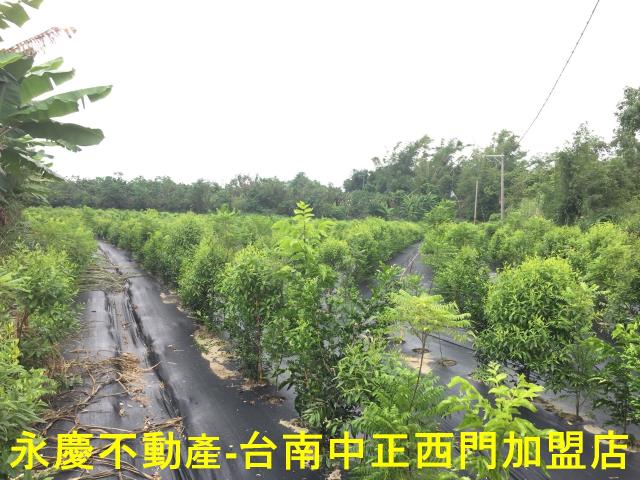 台南玉井農地-8