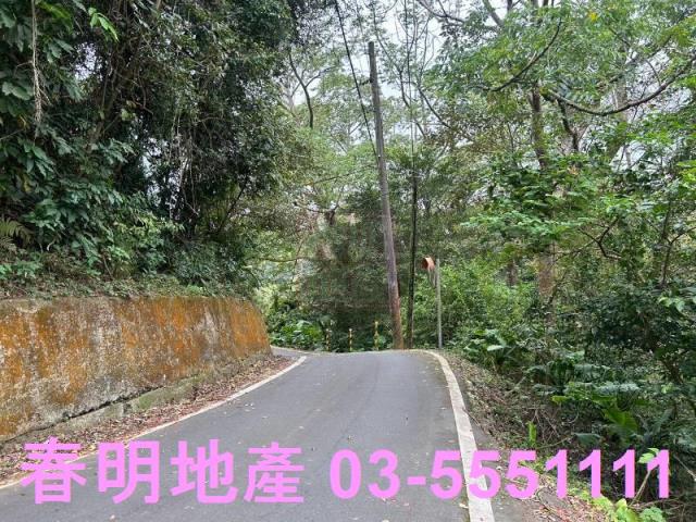 芎林林地-10