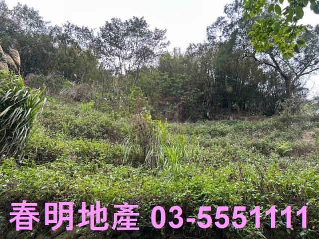 芎林林地-2