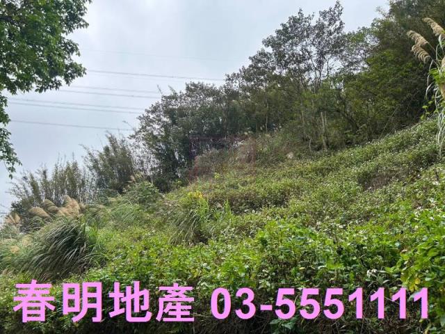芎林林地-4