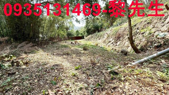 橫山土地橫山農地