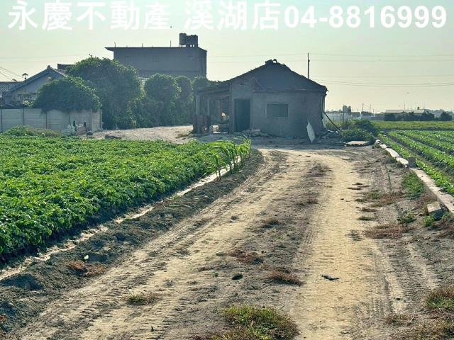 芳苑農地-5