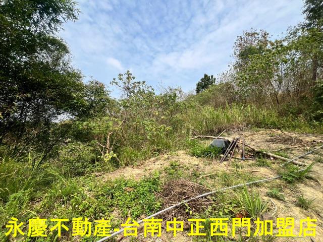 新化農地-9