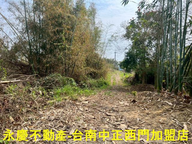 新化農地-0
