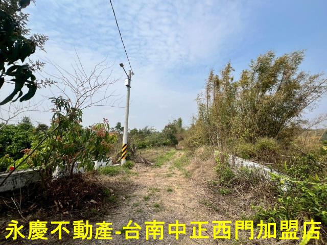 新化農地-2
