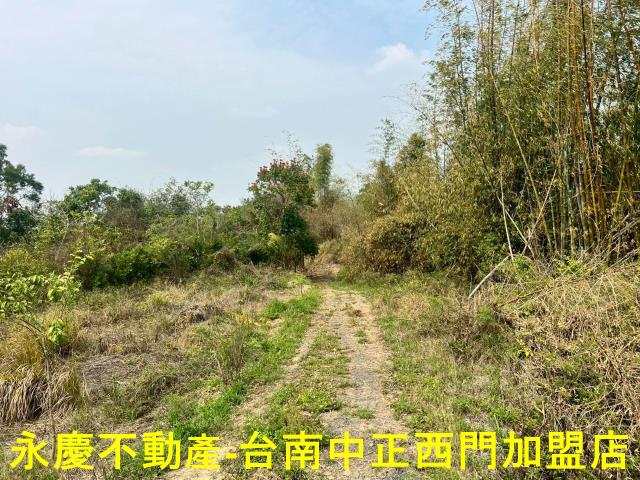 新化農地-3