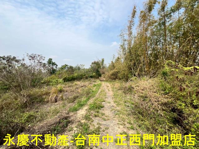 新化農地-4