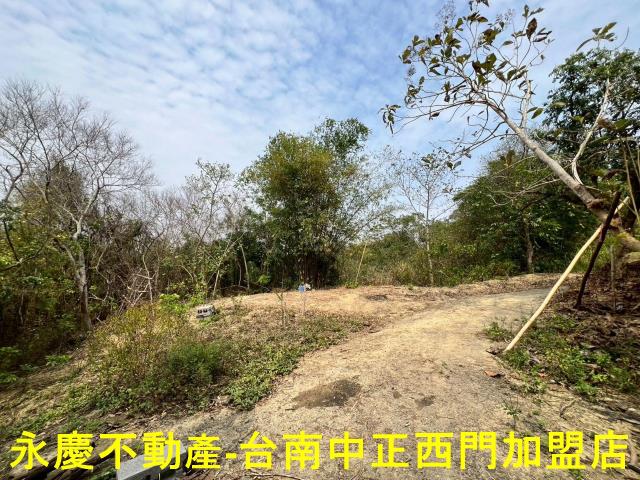新化農地-5