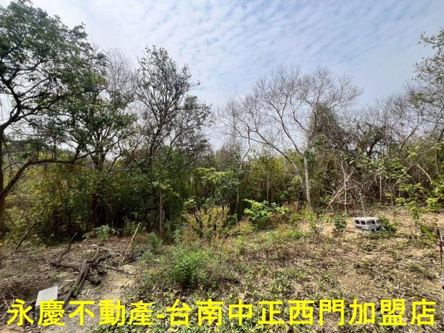 新化農地-8