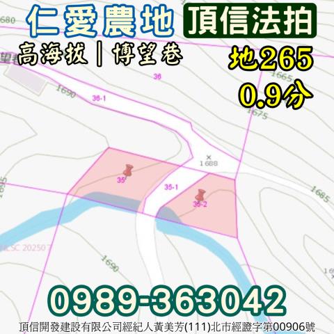 仁愛鄉法拍農地-3