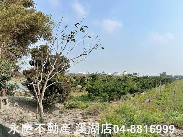 二林農地-6