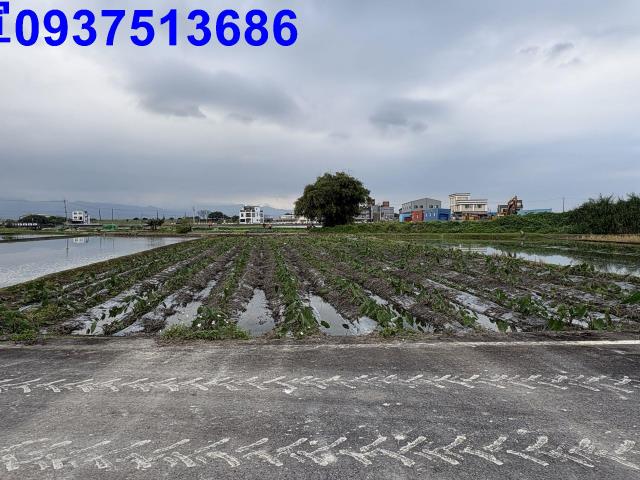 宜蘭五結農地-0