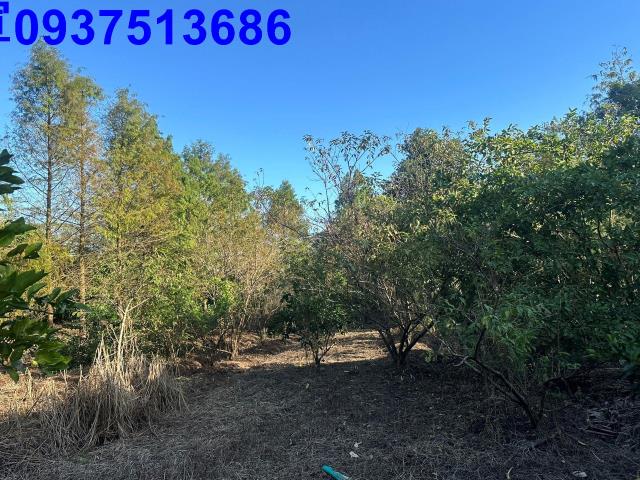 宜蘭員山農地-0