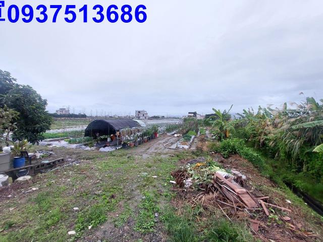 宜蘭壯圍農地-9