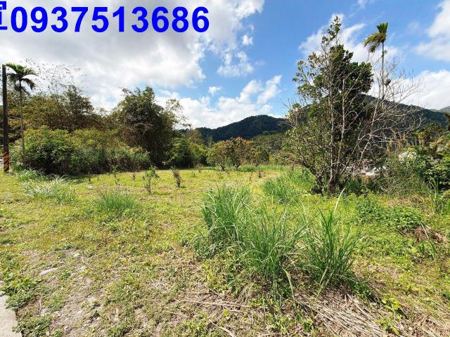 宜蘭員山農地-7