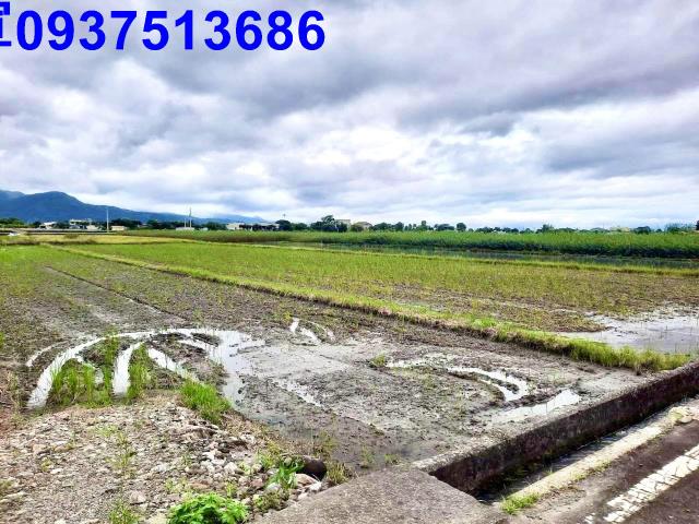 宜蘭三星農地-6