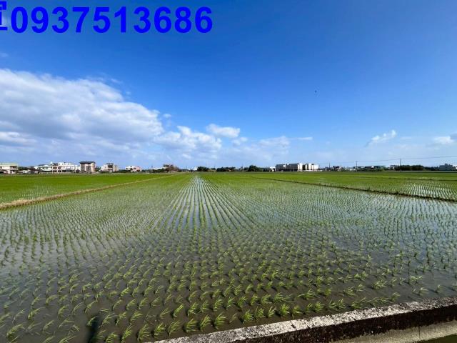 宜蘭礁溪農地-6